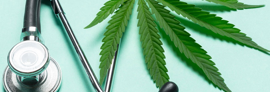 Utilisation du cannabis dans le domaine médical en Suisse